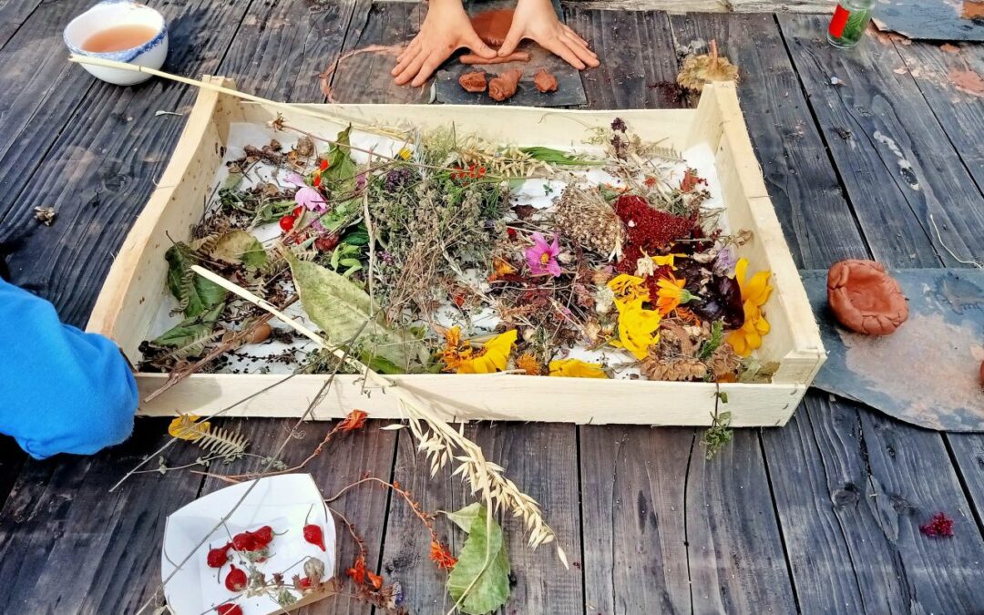 Les CM1 à la découverte du jardinage à la Coudraie