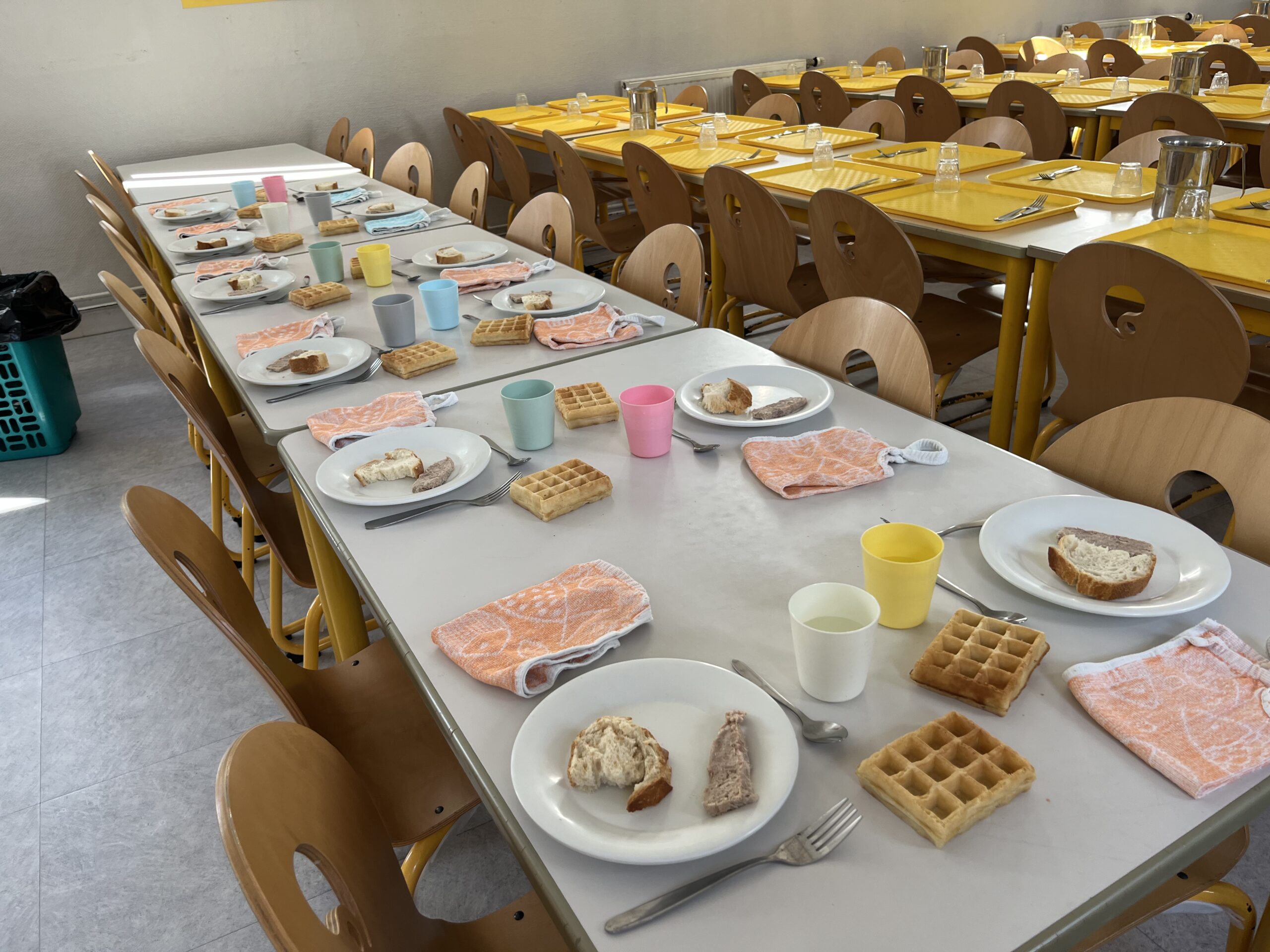 CANTINE – LES MENUS DISPONIBLES SUR LE SITE